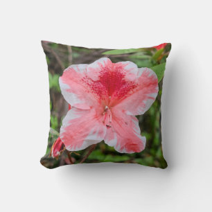 Ben Morrison Azalea (Rhododendron 'Ben Morrison' Cushion