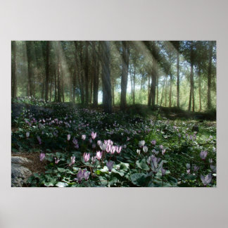 Ben Shemen Forest in Israel, Holy Land Poster