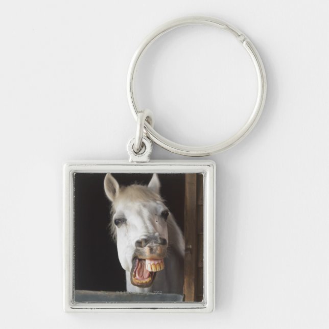 benalamadena costa, malaga, costa del sol, key ring (Front)