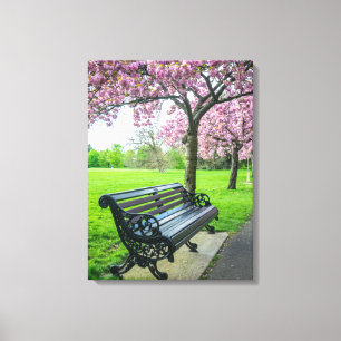 Bench and cherry blossom canvas print