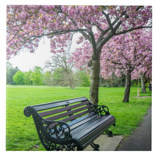 Bench and cherry blossom view ceramic tile (Front)