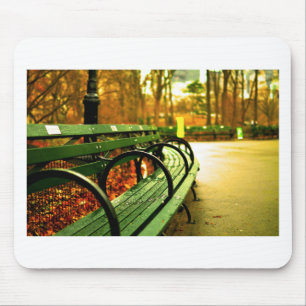 Bench at Central Park, New York City Mouse Pad