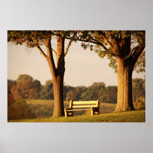 Bench at Sunset Poster