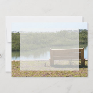 Bench by river with grass and water
