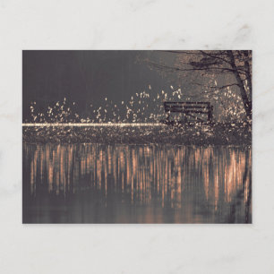 Bench by the lake in the golden light postcard