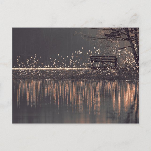 Bench by the lake in the golden light postcard (Front)