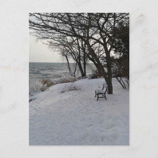 Bench in Winter Snow Postcard (Front)