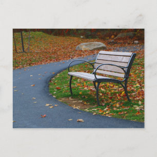 Bench on the Walk 2 Postcard