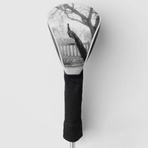 Bench Peacock Golf Head Cover