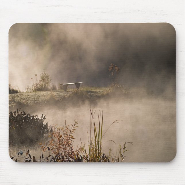 Bench Pond Steam Mouse Pad (Front)