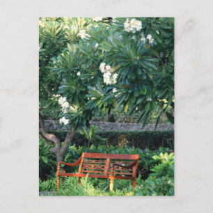 Bench Postcard