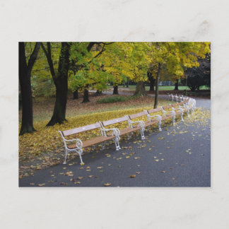 Benches Postcard