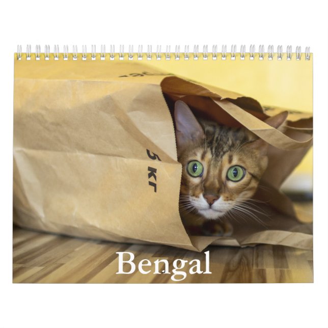 Bengal Calendar (Cover)