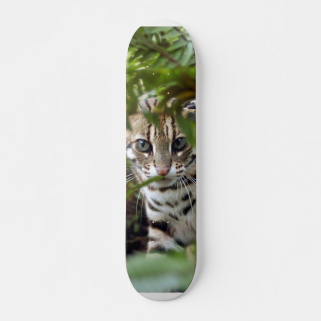 Bengal Cat 022 Skateboard (Front)