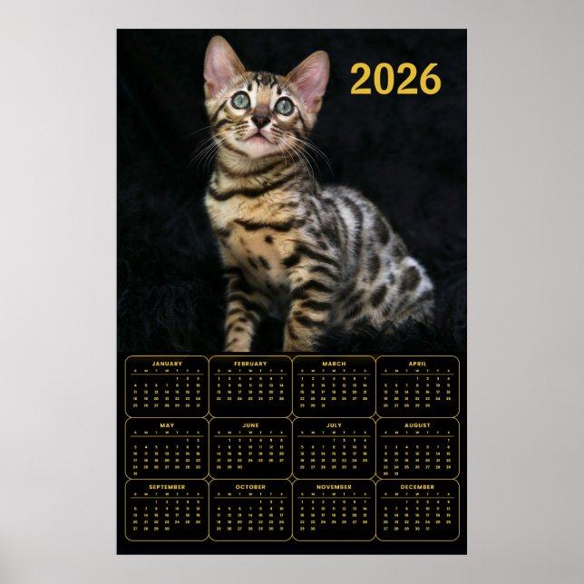 Bengal Cat 2026 Calendar Poster (Front)