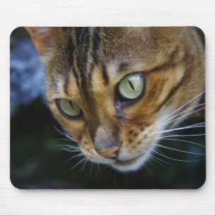 Bengal Cat Close-Up Mouse Pad