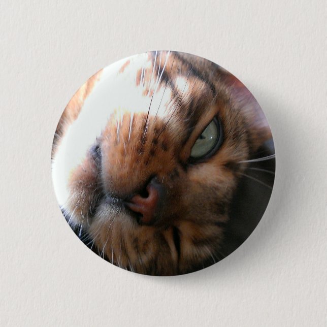 Bengal cat crazy 6 cm round badge (Front)