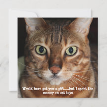 Bengal Cat Face Photo "Would have got you a gift"