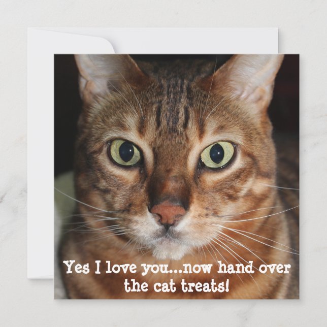 Bengal Cat Face Photograph "Yes I love you...." Holiday Card (Front)