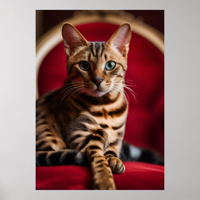 Bengal Cat Portrait Fine Art Poster — Regal Red  (Front)