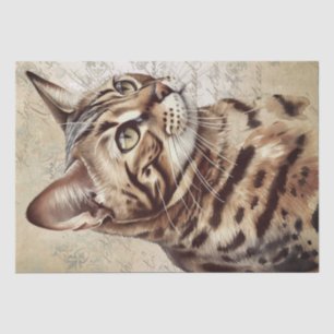 Bengal Cat Tissue Paper