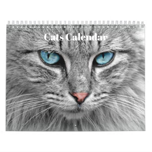 Bengal Cats 2023 Calendar