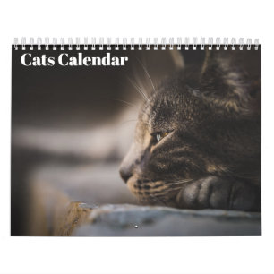 Bengal Cats 2025 Calendar