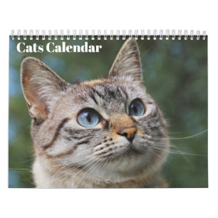 Bengal Cats 2026 Calendar