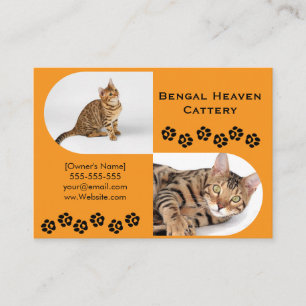 Bengal Cattery Business Card Custom Photo