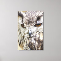 Bengal Eagle Owl