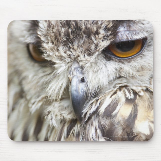 Bengal Eagle Owl Mouse Pad (Front)