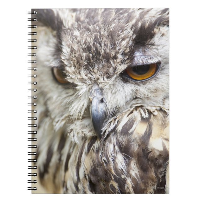 Bengal Eagle Owl Spiral Notebook (Front)