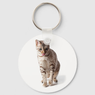 Bengal Kitten licking lips Key Ring