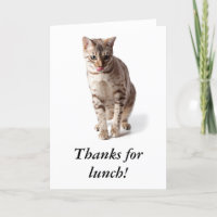 Bengal kitten says thanks for lunch