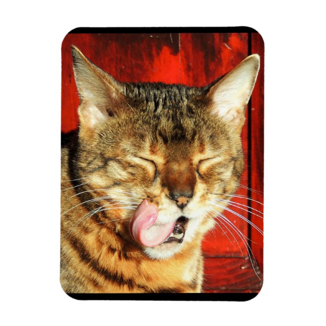 Bengal Love Photo Magnet (Vertical)