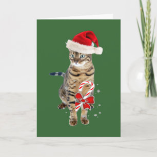 Bengal Santa gifts Holiday Card