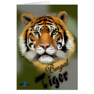 Bengal Tiger