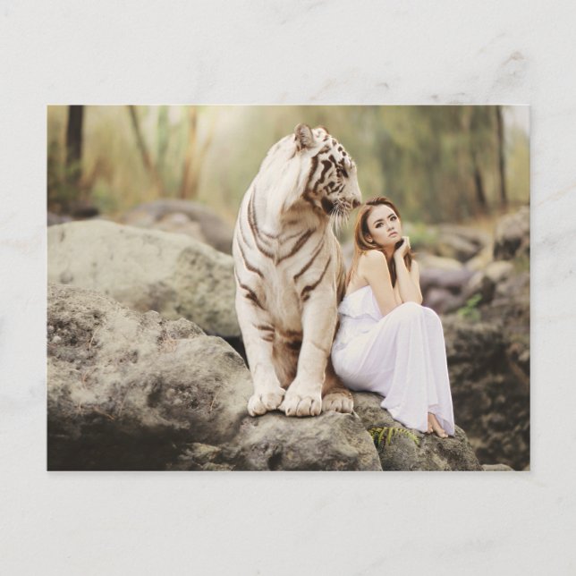 Bengal Tiger and Lady Postcard (Front)