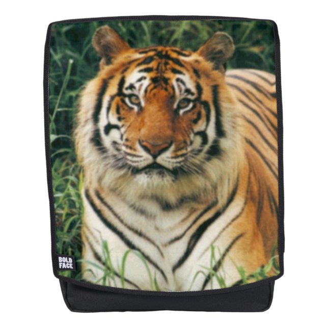Bengal Tiger Backpack (Front)