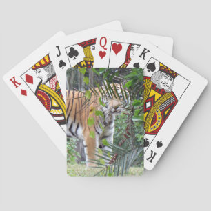 Bengal Tiger - Bicycle Playing Cards