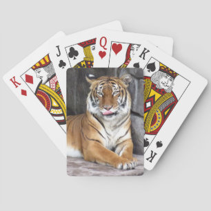 Bengal Tiger - Bicycle Playing Cards