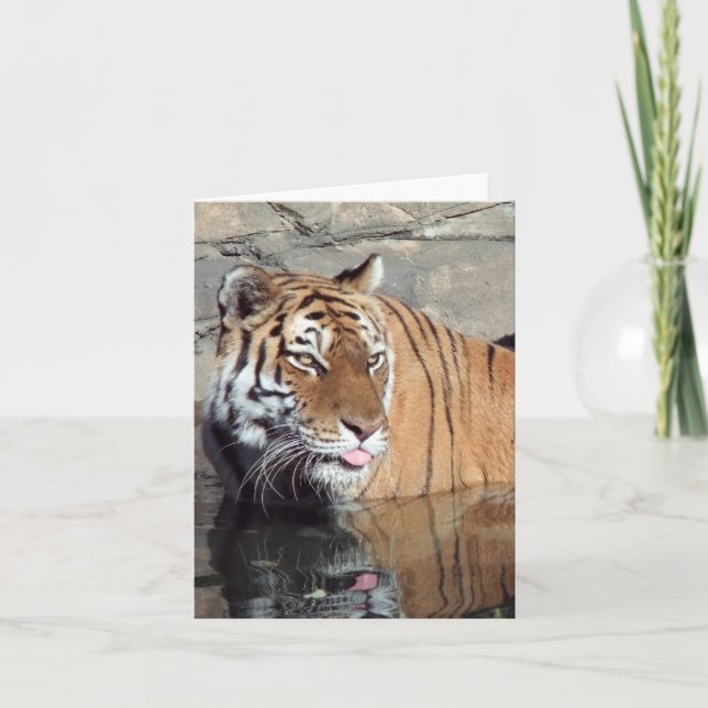 Bengal Tiger Blank Vertical Note Card (Front)