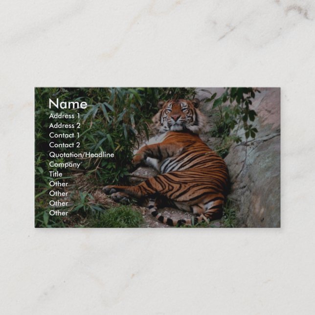 Bengal Tiger Business Card (Front)