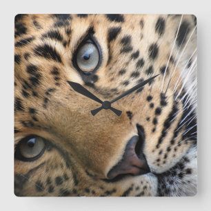 Bengal Tiger Cub Clock