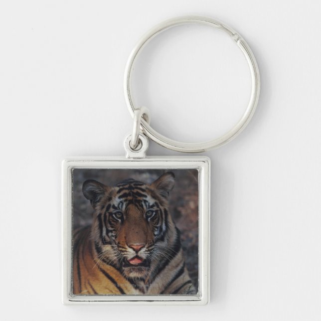 Bengal Tiger Cub Key Ring (Front)