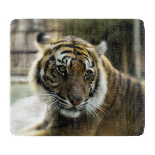 Bengal Tiger Cutting Board