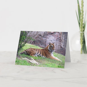 Bengal Tiger Greeting Card (9601)