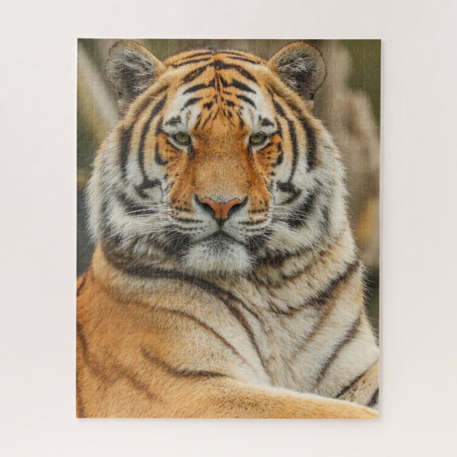 BENGAL TIGER JIGSAW PUZZLE (Vertical)