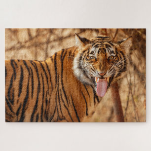 Bengal Tiger  Jigsaw Puzzle