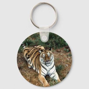 Bengal tiger key ring